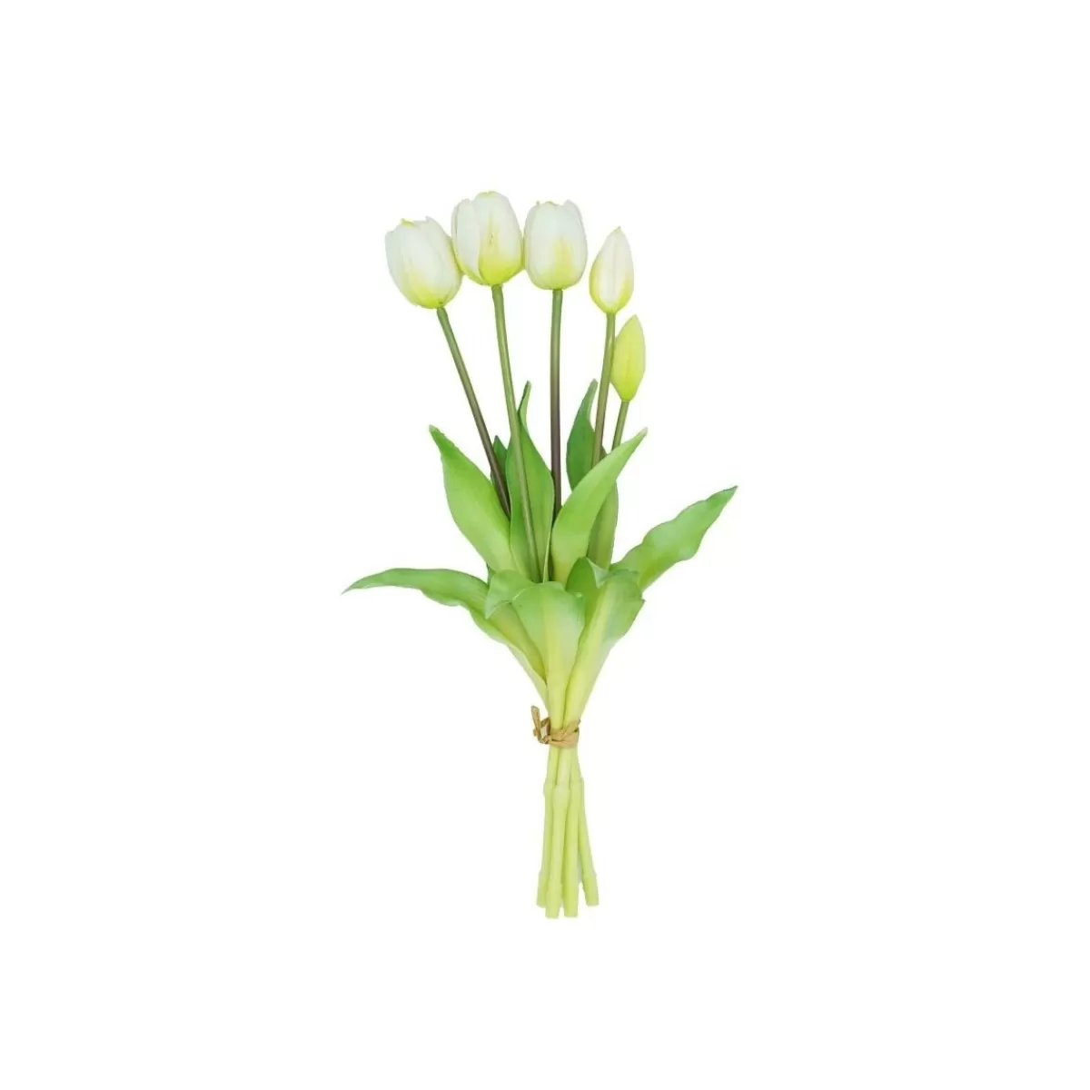 Gloria Store Fiori<Fascio Di 5 Tulipani 39 Cm