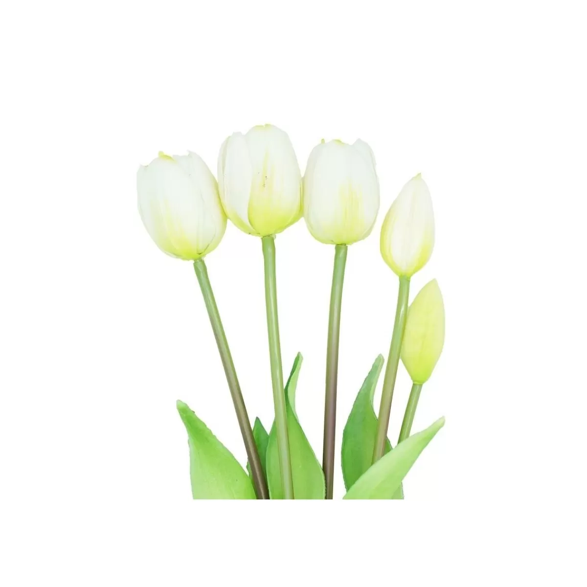 Gloria Store Fiori<Fascio Di 5 Tulipani 39 Cm