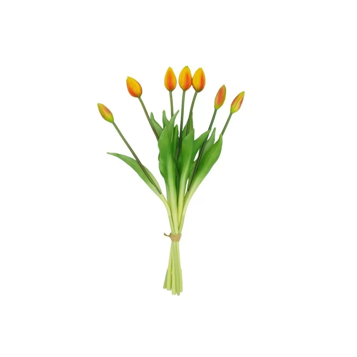 Gloria Store Fiori<Fascio Di 7 Tulipani 44 Cm