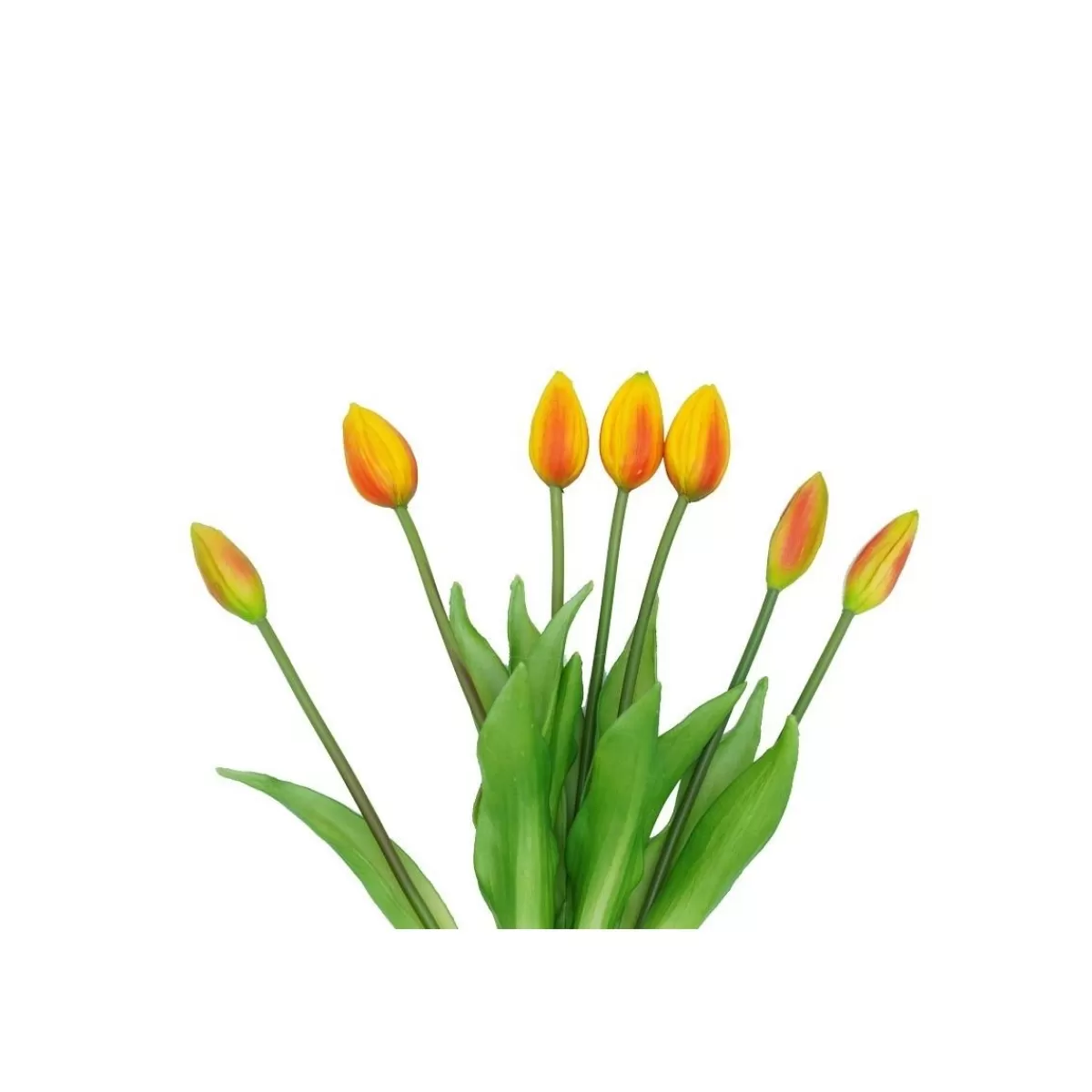 Gloria Store Fiori<Fascio Di 7 Tulipani 44 Cm