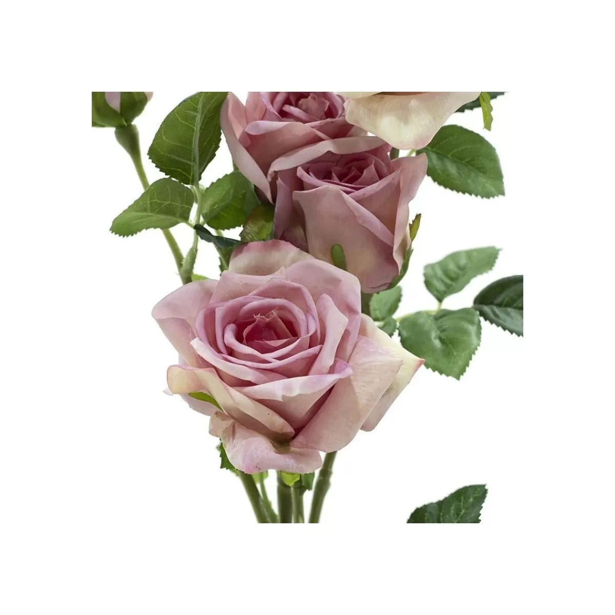 Gloria Store Fiori<Fascio Di Rose E Boccioli H.75 Cm