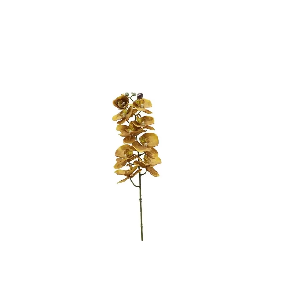 Gloria Store Fiori<Orchidea Con 9 Fiori H.98 Cm