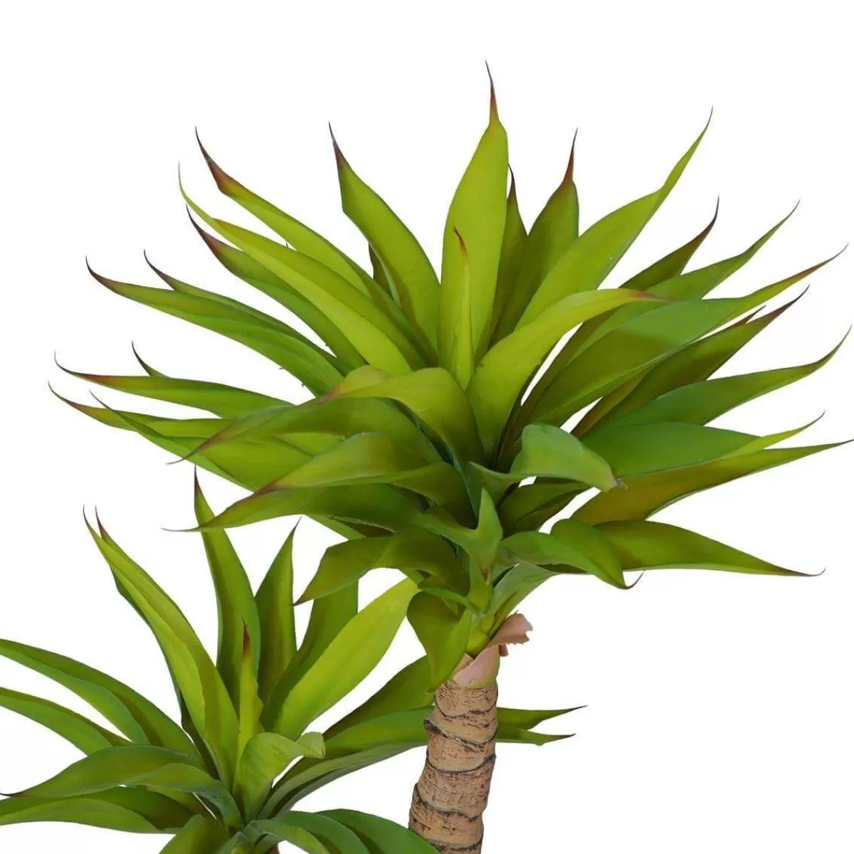 Gloria Store Piante<Pianta Agave Artificiale H.120 Cm