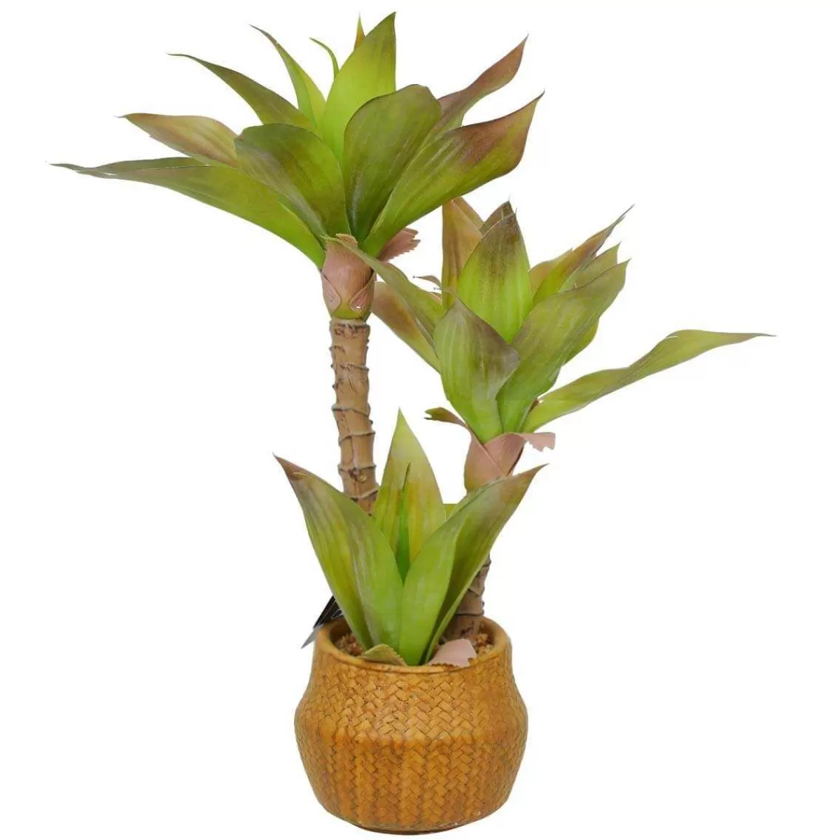 Gloria Store Piante<Pianta Agave Artificiale H.65 Cm