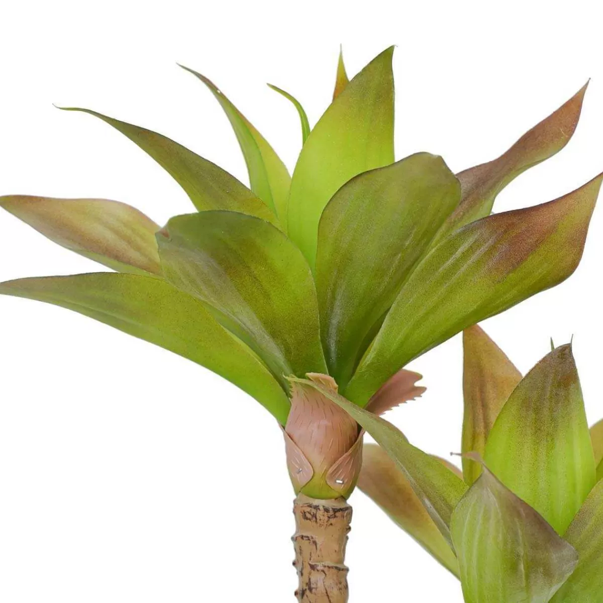 Gloria Store Piante<Pianta Agave Artificiale H.65 Cm