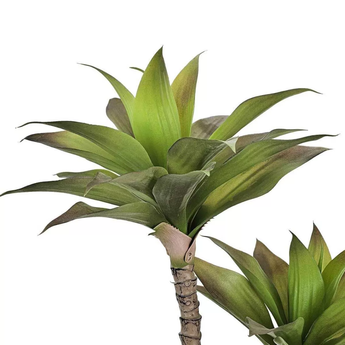 Gloria Store Piante<Pianta Agave Artificiale H.80 Cm