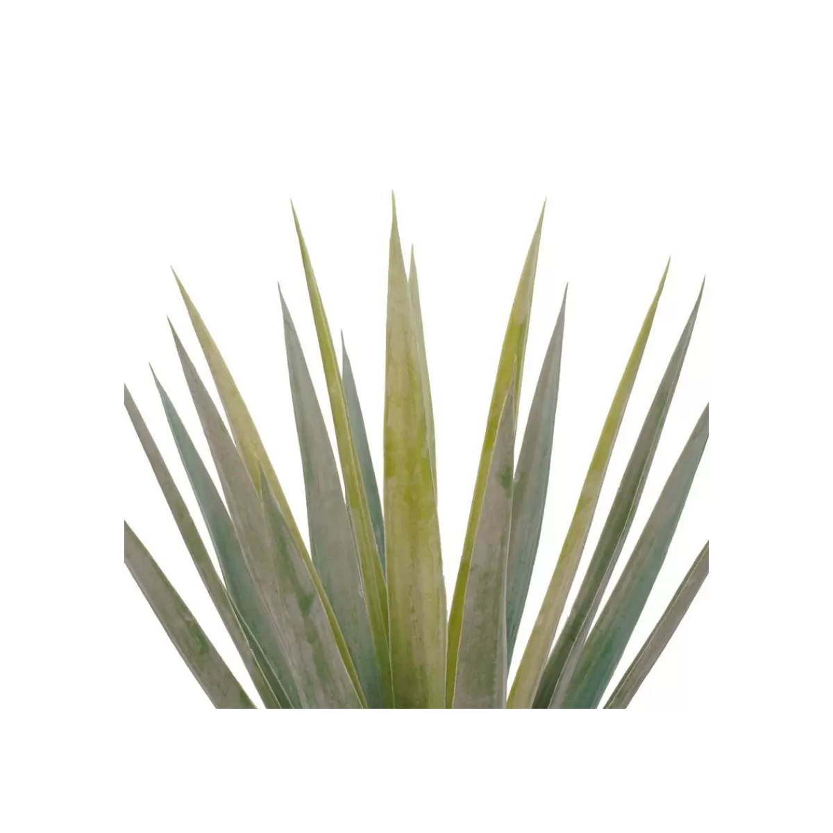 Gloria Store Piante<Pianta Agave Sisalana Artificiale Con Vaso Nero H.76,5 Cm