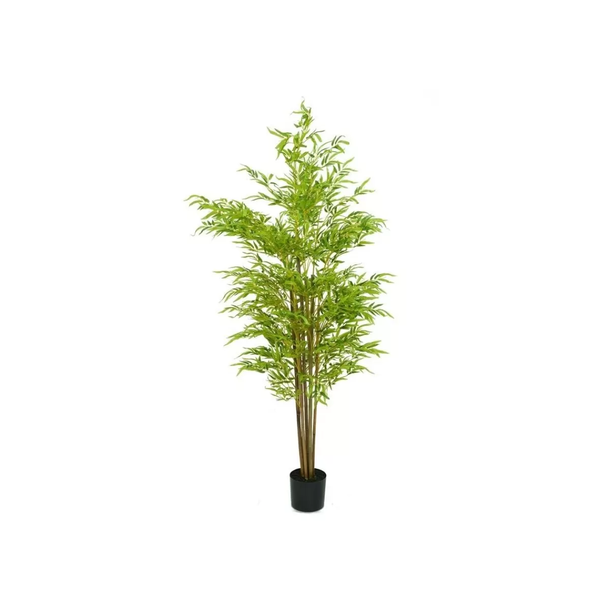 Gloria Store Piante<Pianta Bamboo Artificiale