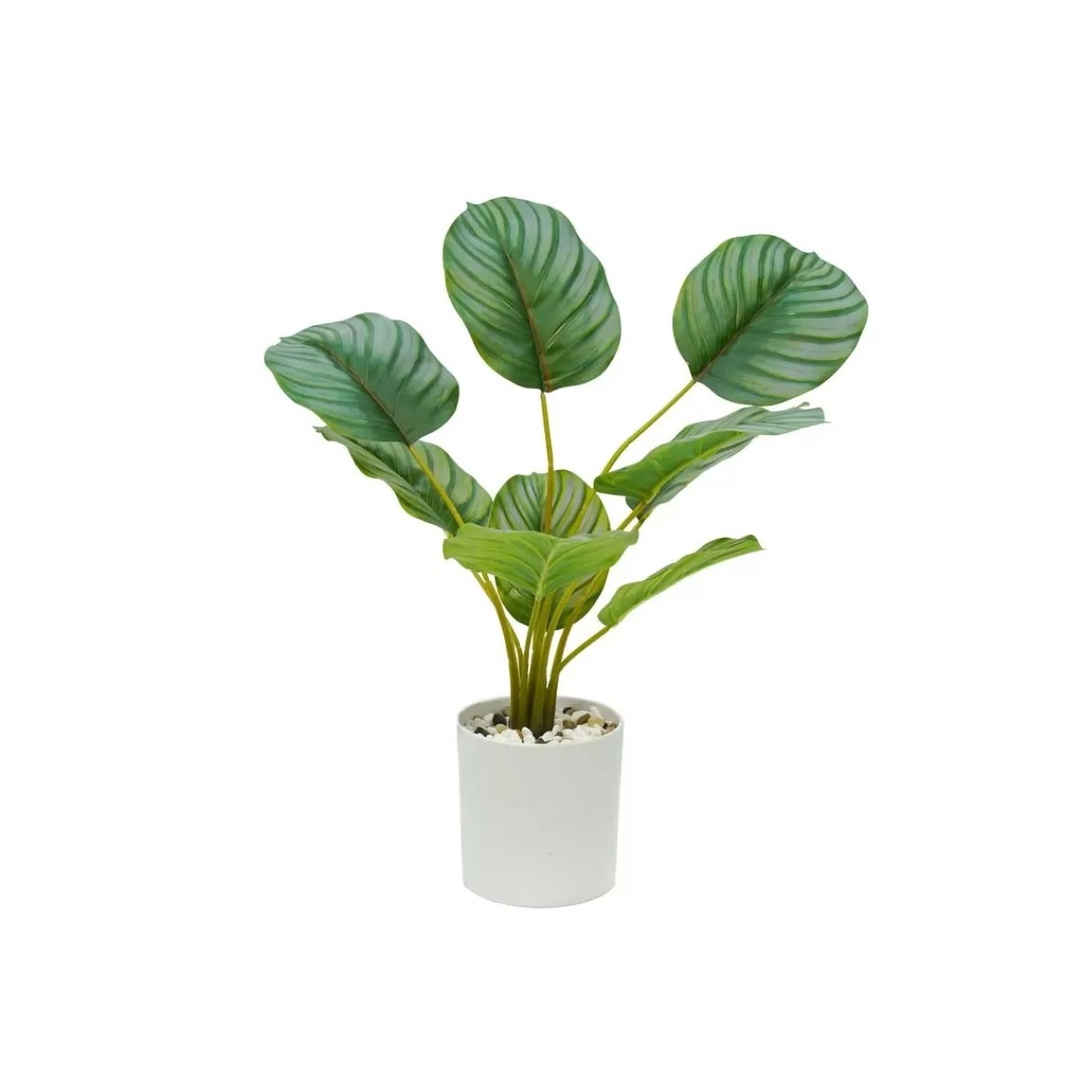 Gloria Store Piante<Pianta Calathea Artificiale Con Vaso Bianco