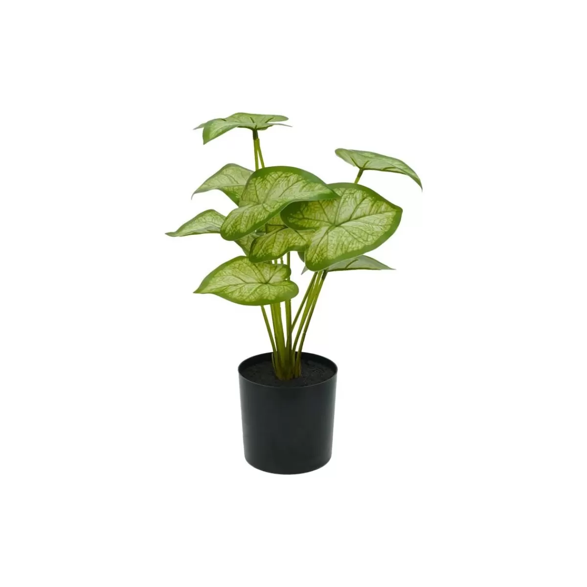 Gloria Store Piante<Pianta Calathea Artificiale Con Vaso Grigio