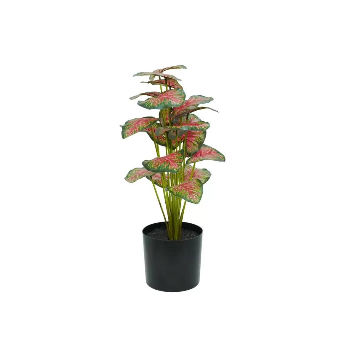 Gloria Store Piante<Pianta Calathea Rossa Artificiale Con Vaso Grigio