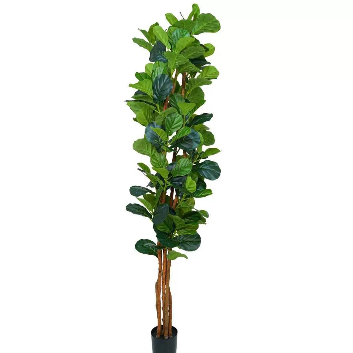 Gloria Store Piante<Pianta Ficus Artificiale