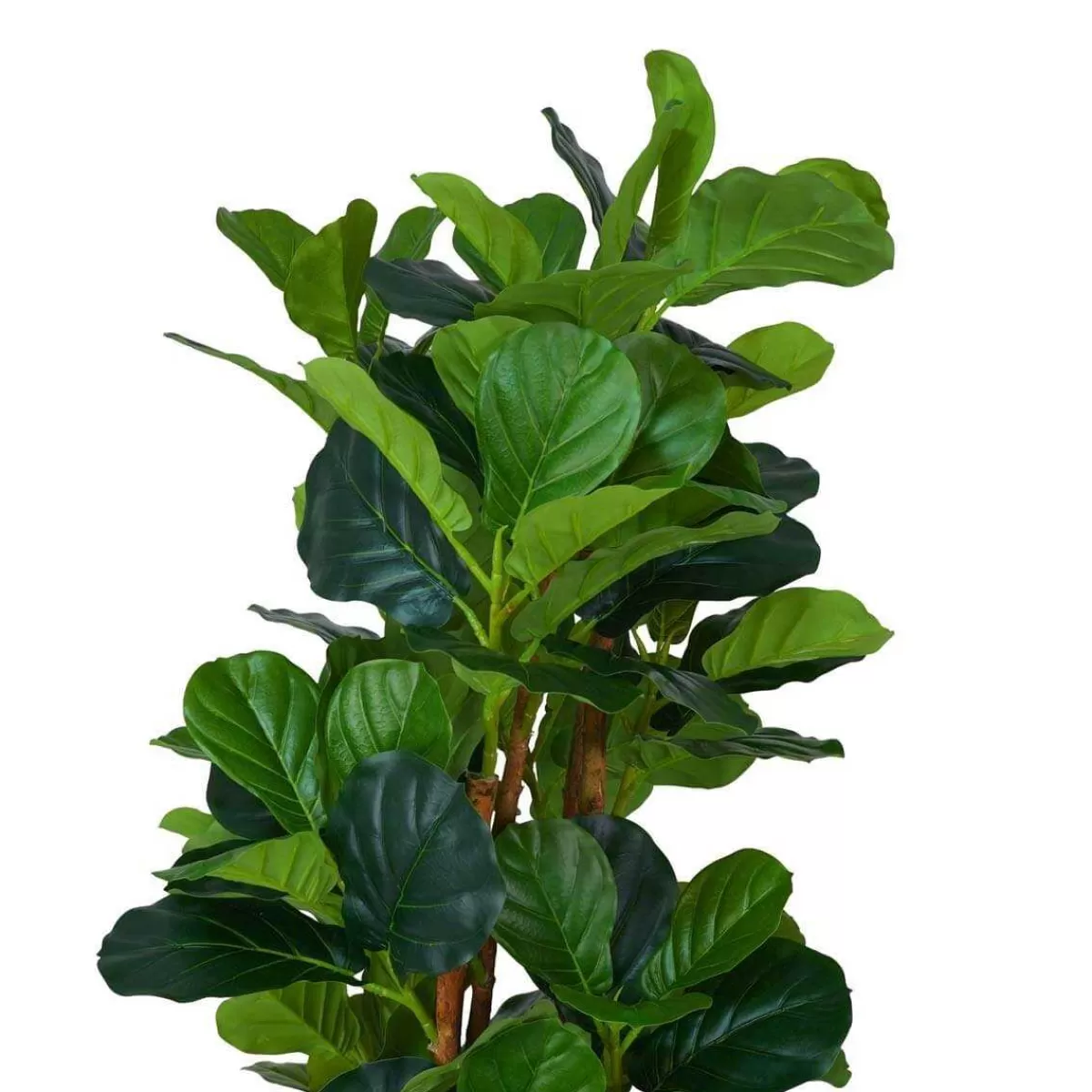 Gloria Store Piante<Pianta Ficus Artificiale