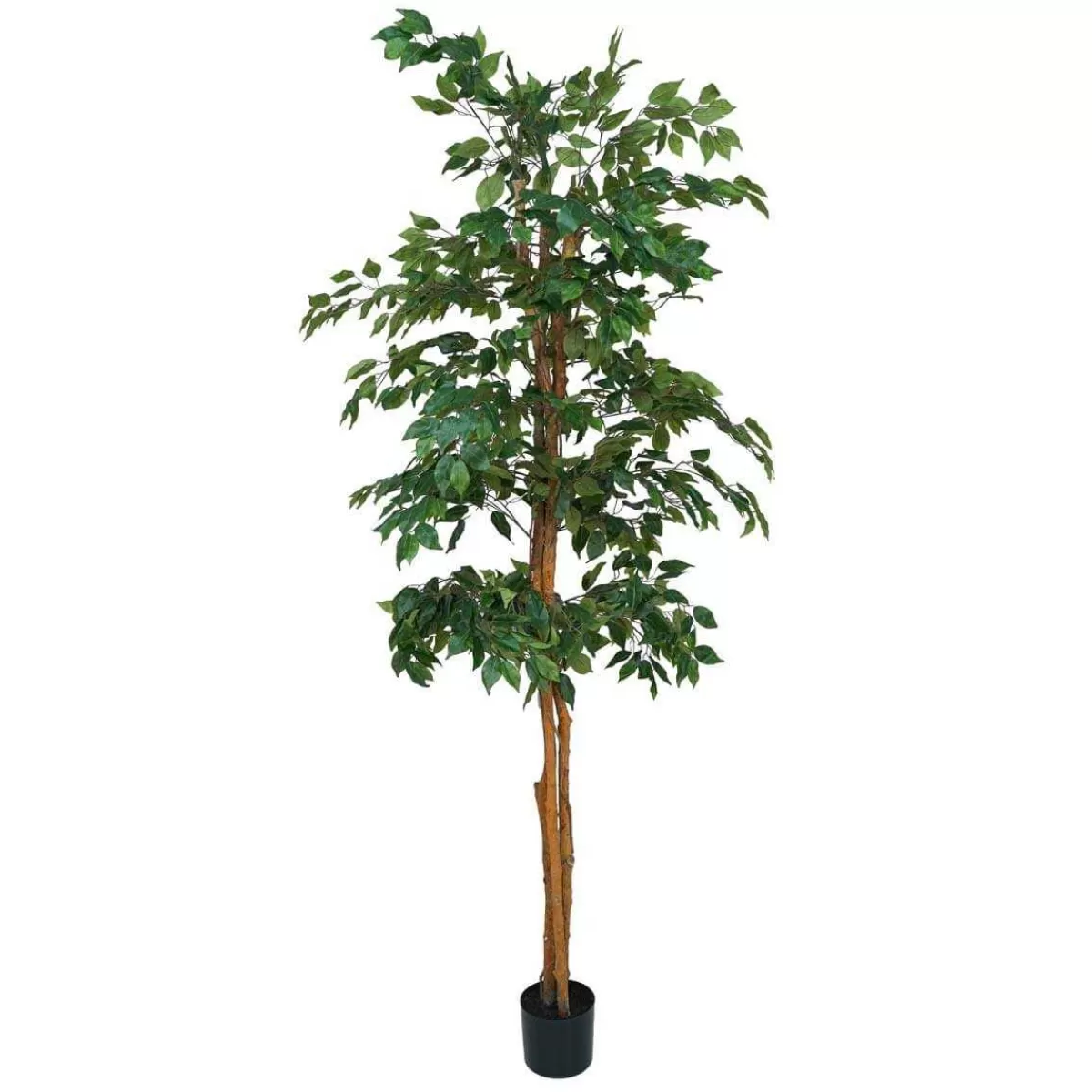 Gloria Store Piante<Pianta Ficus Benjamin Artificiale