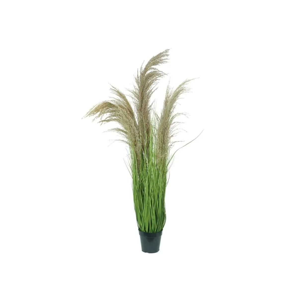 Gloria Store Piante<Pianta Pampas Artificiale Con Phragmites