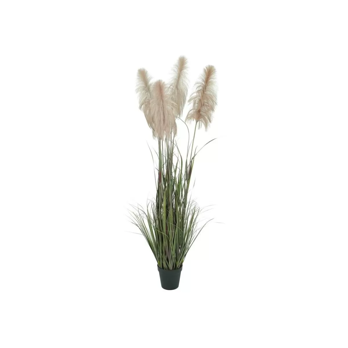 Gloria Store Piante<Pianta Pampas Artificiale H.190 Cm