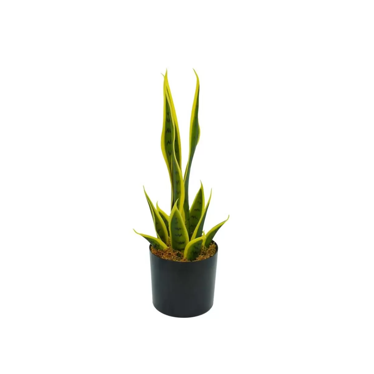 Gloria Store Piante<Pianta Sansevieria Artificiale