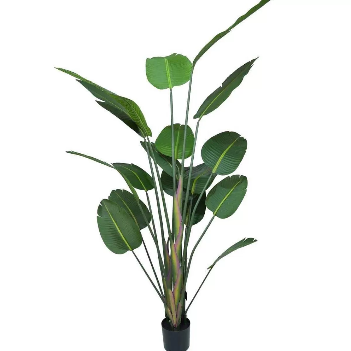 Gloria Store Piante<Pianta Strelitzia Artificiale