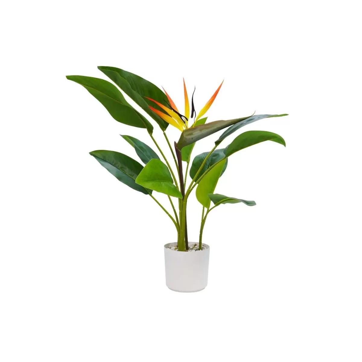 Gloria Store Piante<Pianta Strelitzia Artificiale Con Vaso Bianco